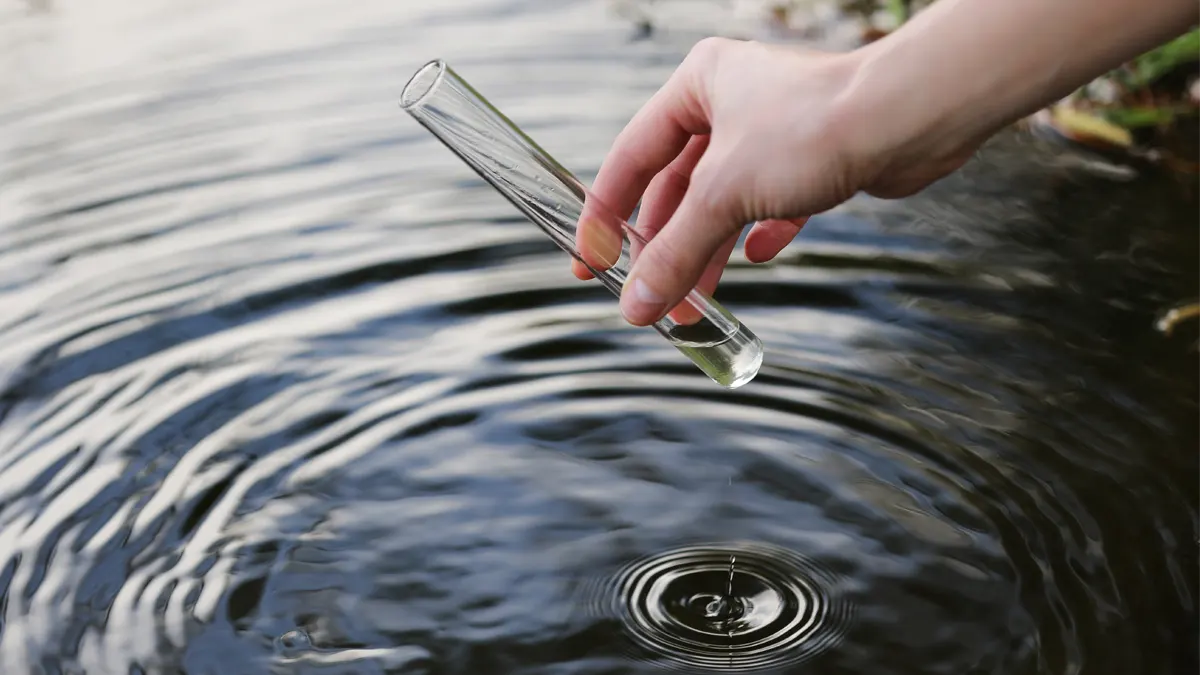 water quality test